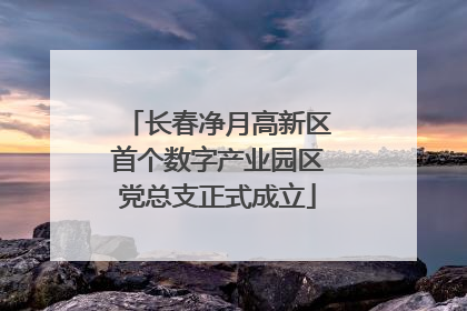 长春净月高新区首个数字产业园区党总支正式成立