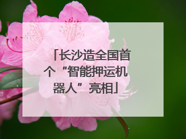 长沙造全国首个“智能押运机器人”亮相