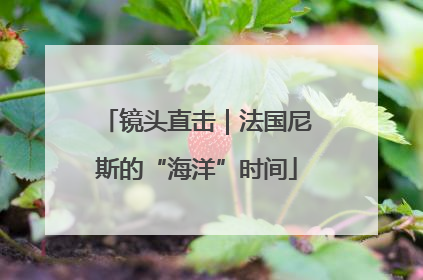 镜头直击｜法国尼斯的“海洋”时间