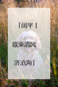 闵平丨欲乘清风济沧海