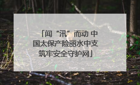 闻“汛”而动 中国太保产险丽水中支筑牢安全守护网