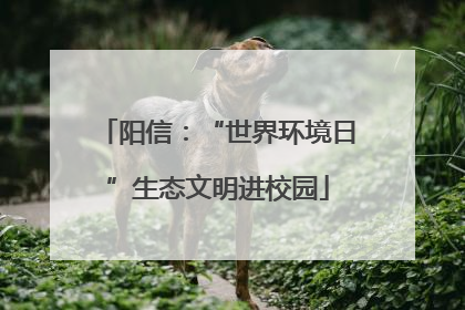 阳信：“世界环境日”生态文明进校园