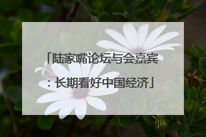陆家嘴论坛与会嘉宾：长期看好中国经济