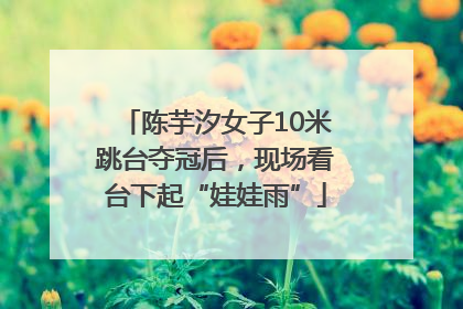 陈芋汐女子10米跳台夺冠后，现场看台下起“娃娃雨”