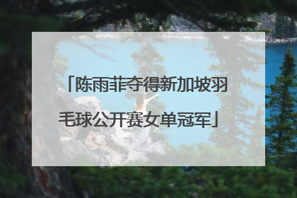 陈雨菲夺得新加坡羽毛球公开赛女单冠军