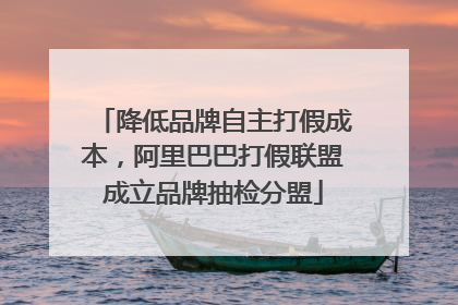 降低品牌自主打假成本，阿里巴巴打假联盟成立品牌抽检分盟