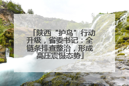 陕西“护鸟”行动升级，省委书记：全链条排查整治，形成高压震慑态势