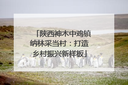 陕西神木中鸡镇纳林采当村：打造乡村振兴新样板