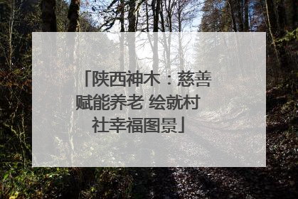 陕西神木：慈善赋能养老 绘就村社幸福图景