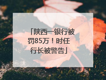 陕西一银行被罚85万！时任行长被警告
