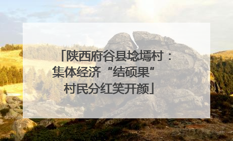 陕西府谷县埝墕村：集体经济“结硕果” 村民分红笑开颜