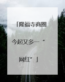 隆福寺商圈今起又多一“网红”