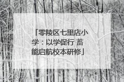 零陵区七里店小学：以学促行 蓄能启航校本研修