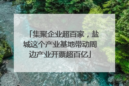 集聚企业超百家，盐城这个产业基地带动周边产业开票超百亿