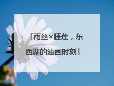雨丝×睡莲，东西湖的油画时刻