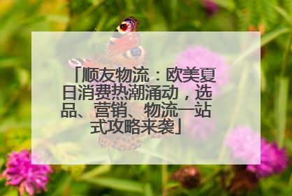 顺友物流：欧美夏日消费热潮涌动，选品、营销、物流一站式攻略来袭