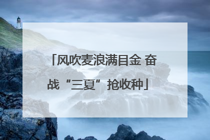 风吹麦浪满目金 奋战“三夏”抢收种