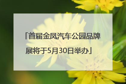 首届金凤汽车公园品牌展将于5月30日举办