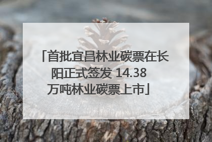 首批宜昌林业碳票在长阳正式签发 14.38万吨林业碳票上市