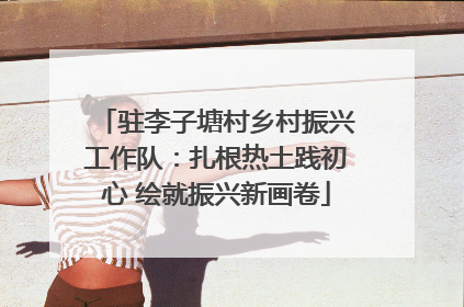 驻李子塘村乡村振兴工作队：扎根热土践初心 绘就振兴新画卷
