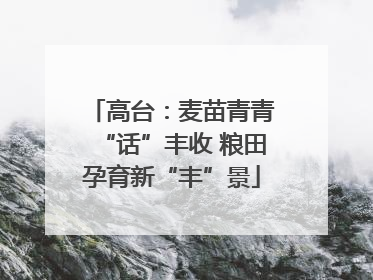 高台：麦苗青青“话”丰收 粮田孕育新“丰”景