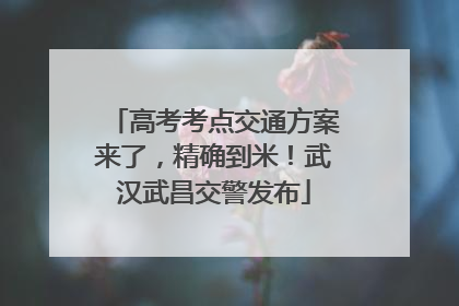 高考考点交通方案来了，精确到米！武汉武昌交警发布