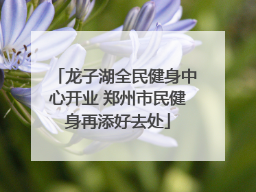 龙子湖全民健身中心开业 郑州市民健身再添好去处
