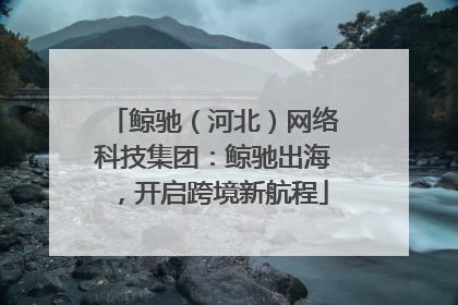 鲸驰（河北）网络科技集团：鲸驰出海，开启跨境新航程