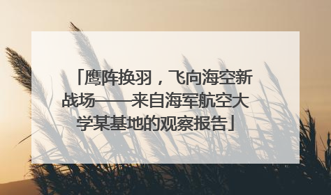 鹰阵换羽，飞向海空新战场——来自海军航空大学某基地的观察报告