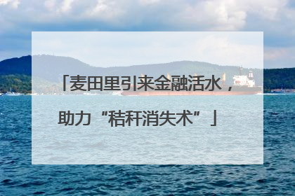 麦田里引来金融活水，助力“秸秆消失术”