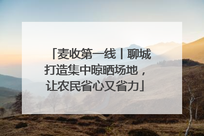 麦收第一线丨聊城打造集中晾晒场地，让农民省心又省力