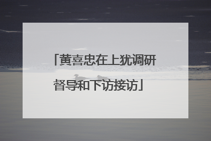 黄喜忠在上犹调研督导和下访接访