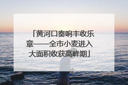 黄河口奏响丰收乐章——全市小麦进入大面积收获高峰期