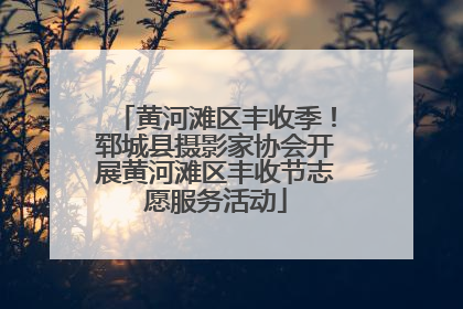 黄河滩区丰收季！郓城县摄影家协会开展黄河滩区丰收节志愿服务活动