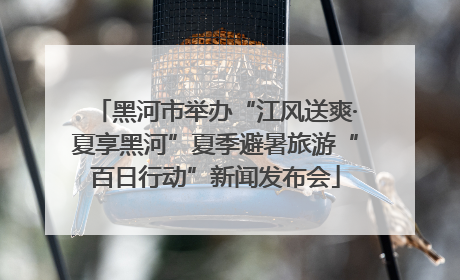 黑河市举办“江风送爽·夏享黑河”夏季避暑旅游“百日行动”新闻发布会