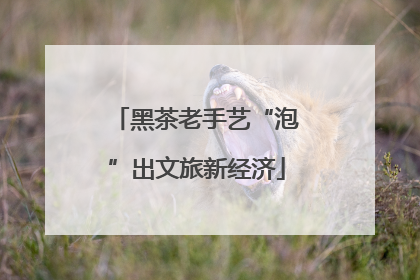 黑茶老手艺“泡”出文旅新经济
