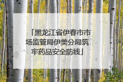 黑龙江省伊春市市场监管局伊美分局筑牢药品安全防线