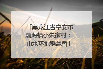 黑龙江省宁安市渤海镇小朱家村：山水环抱稻飘香