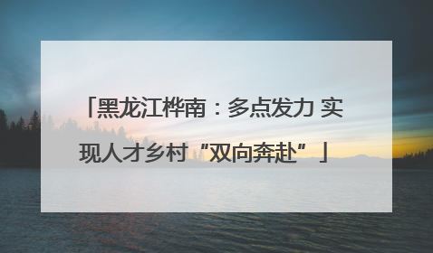黑龙江桦南：多点发力 实现人才乡村“双向奔赴”