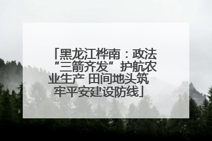 黑龙江桦南：政法“三箭齐发”护航农业生产 田间地头筑牢平安建设防线