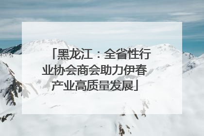 黑龙江：全省性行业协会商会助力伊春产业高质量发展