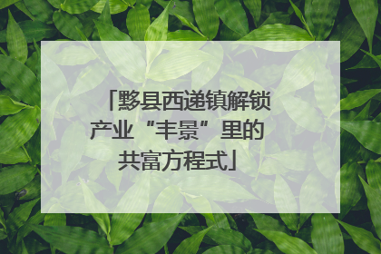 黟县西递镇解锁产业“丰景”里的共富方程式