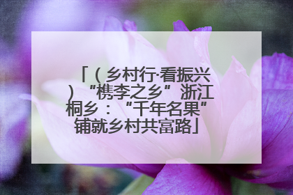 （乡村行·看振兴）“槜李之乡”浙江桐乡：“千年名果”铺就乡村共富路