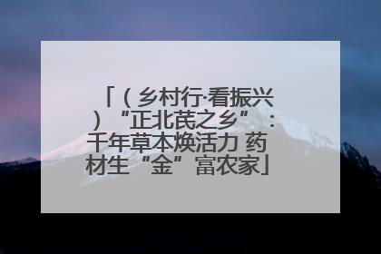 （乡村行·看振兴）“正北芪之乡”：千年草本焕活力 药材生“金”富农家