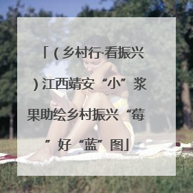 （乡村行·看振兴）江西靖安“小”浆果助绘乡村振兴“莓”好“蓝”图