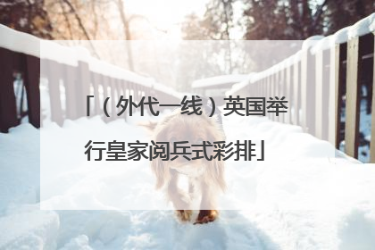 （外代一线）英国举行皇家阅兵式彩排