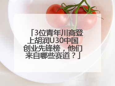 3位青年川商登上胡润U30中国创业先锋榜，他们来自哪些赛道？