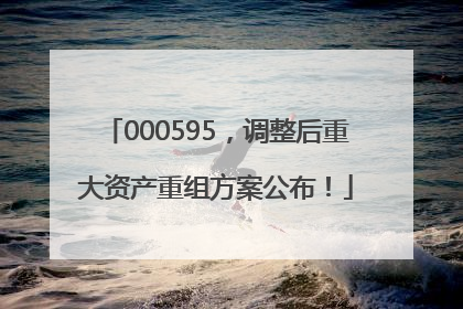 000595，调整后重大资产重组方案公布！