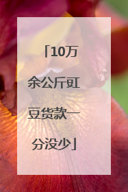 10万余公斤豇豆货款一分没少