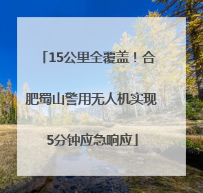 15公里全覆盖！合肥蜀山警用无人机实现5分钟应急响应